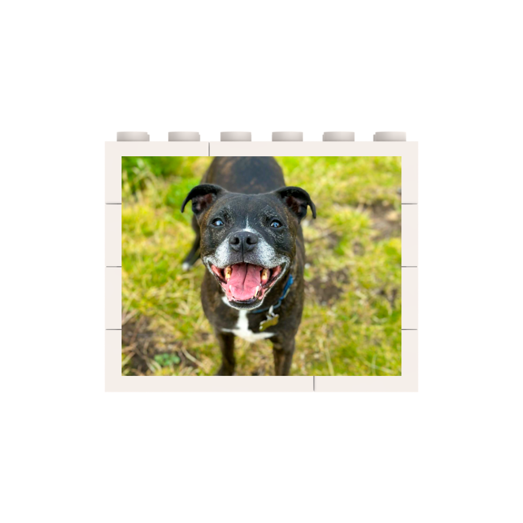 Personalised LEGO® Brick Photo Advent Calendar – 12 Custom Photo Blocks, 24-Day Countdown